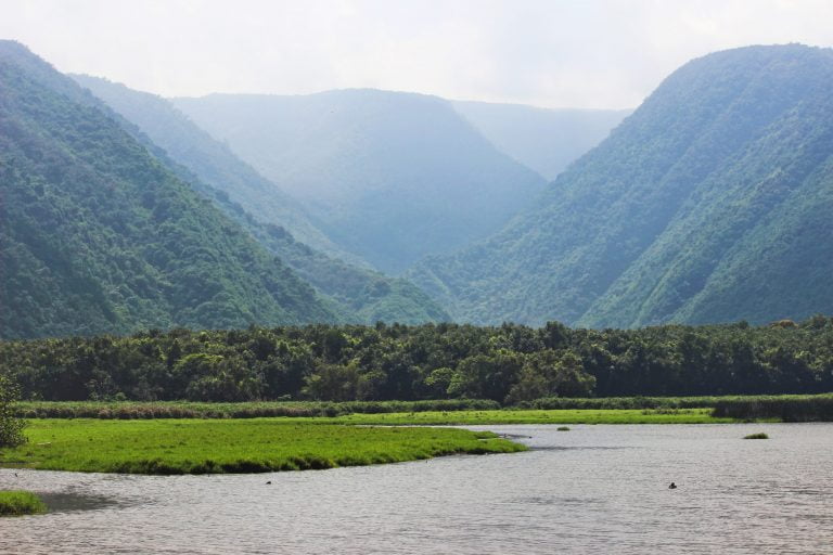 A river mouth opening into a steep green valley