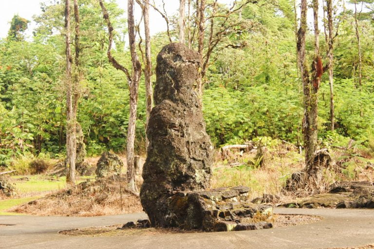 A lava tree mold standing among forest trees
