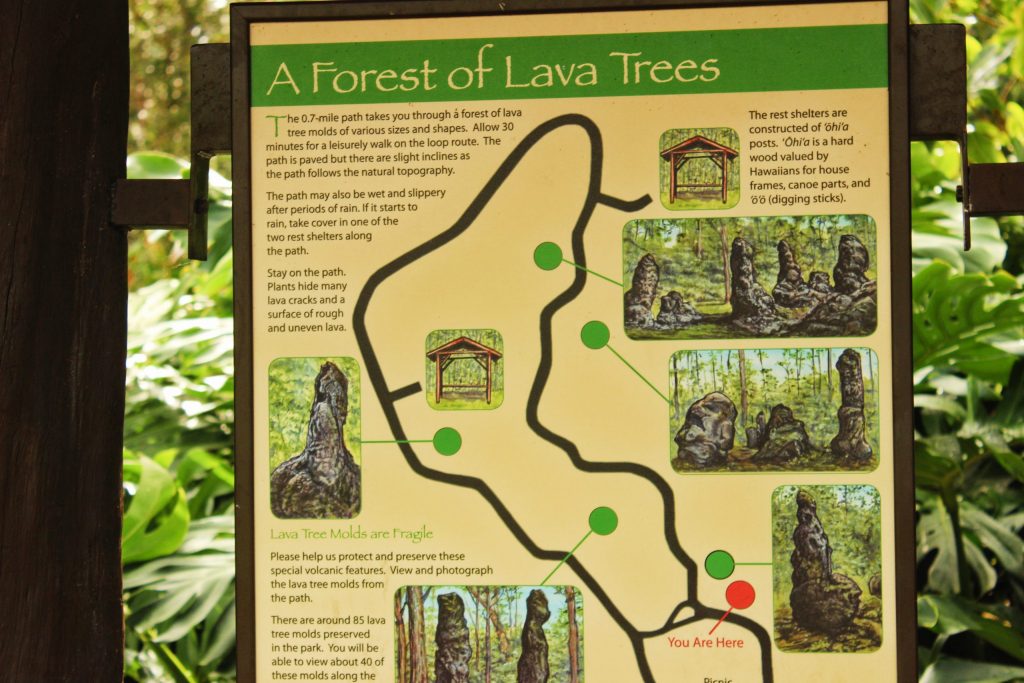 Lava Tree State Park Big Island Hawaii Lava Guides Island Tours