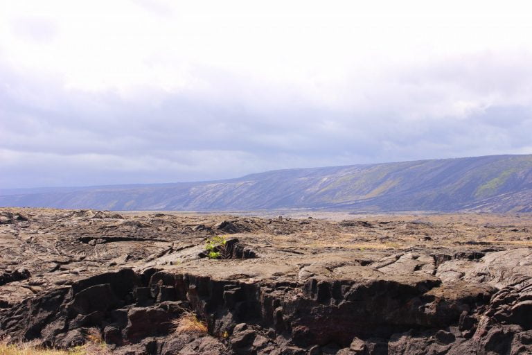 A wide field of cracked grey lava under pale clouds